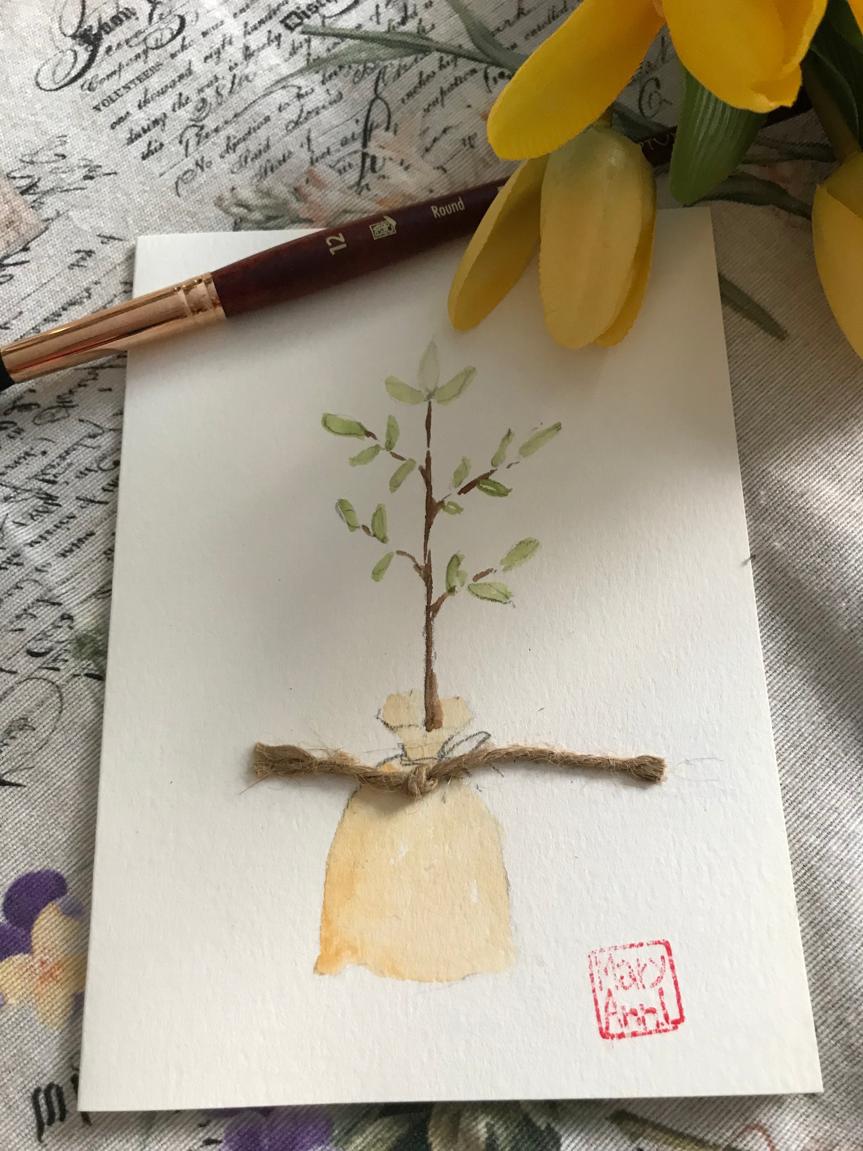 Olive Tree Greeting Card