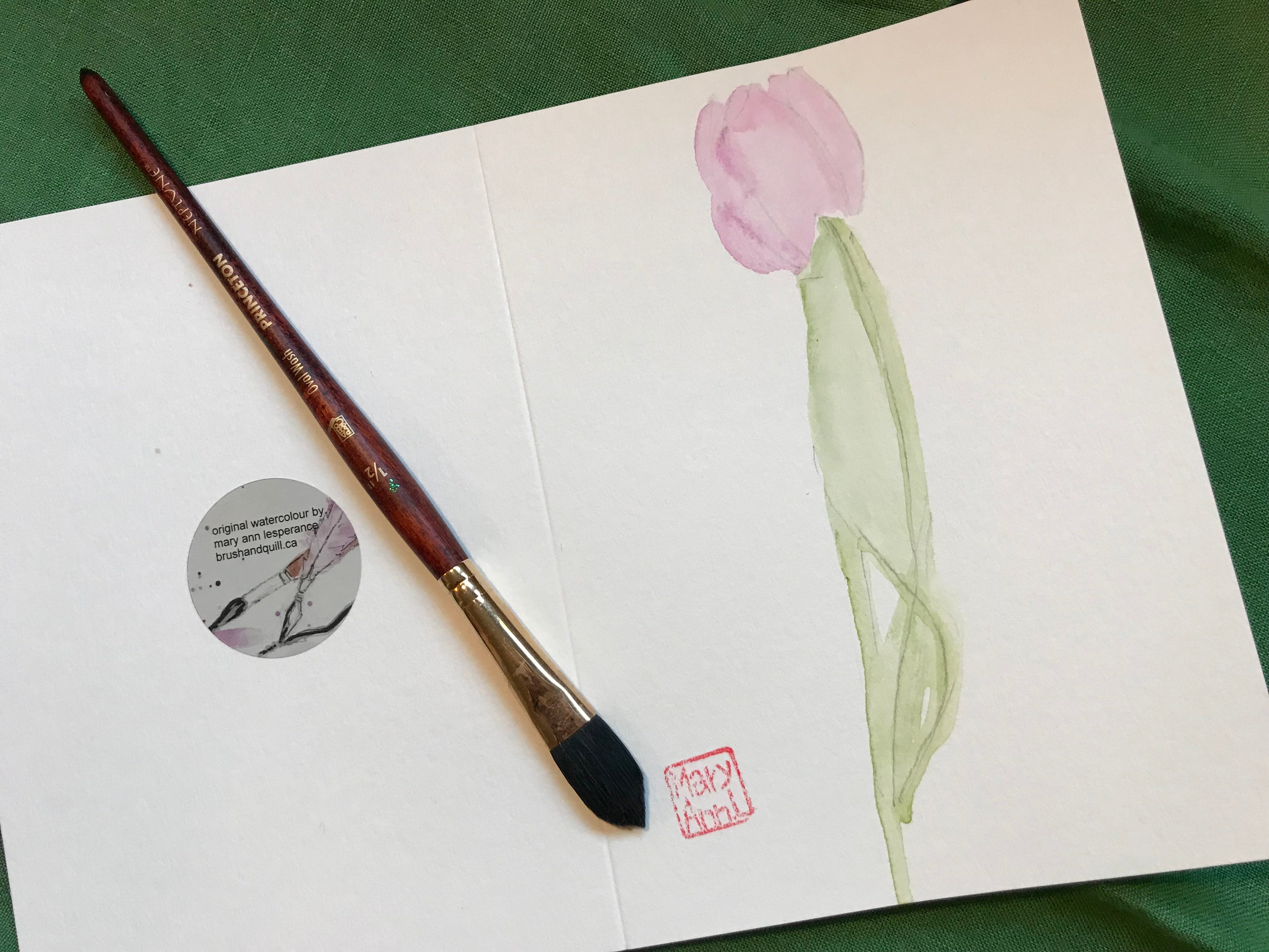 Single Tulip Greeting Card